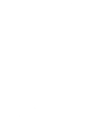Tampere Unitedin logo